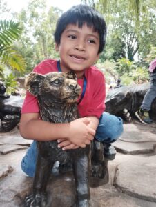 IMG 20240808 WA0017